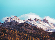 【直播】拖米：感觉王回来了！落幕：有点期待AG打狼队了